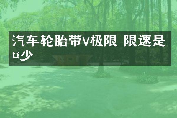 汽车轮胎带v极限 限速是多少