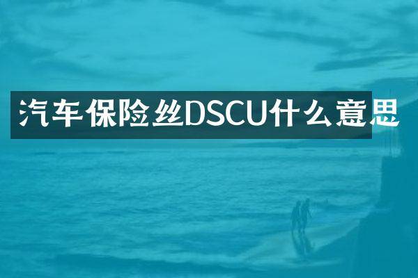 汽车保险丝DSCU什么意思