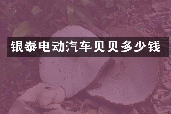银泰电动汽车贝贝多少钱