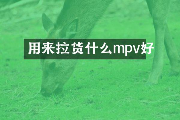 用来拉货什么mpv好