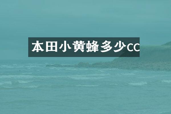 本田小黄蜂多少cc