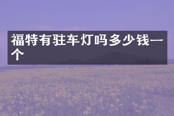 福特有驻车灯吗多少钱一个
