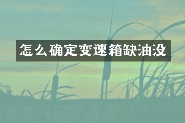 怎么确定变速箱缺油没