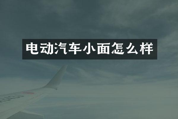 电动汽车小面怎么样