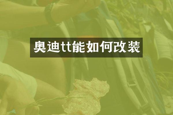 奥迪tt能如何改装