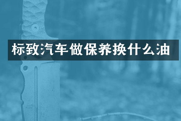 标致汽车做保养换什么油