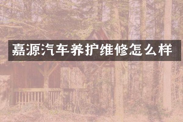 嘉源汽车养护维修怎么样