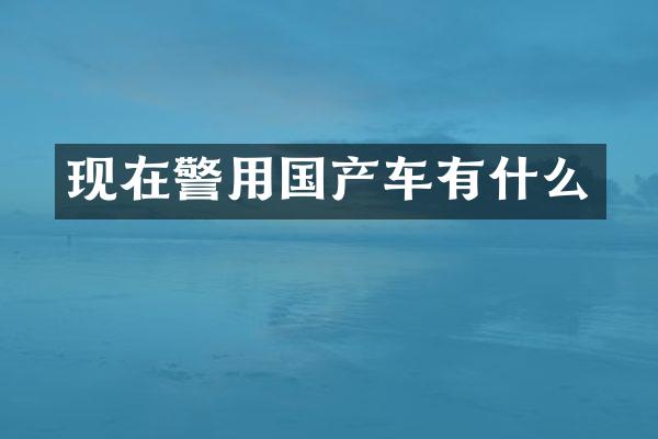 现在警用国产车有什么