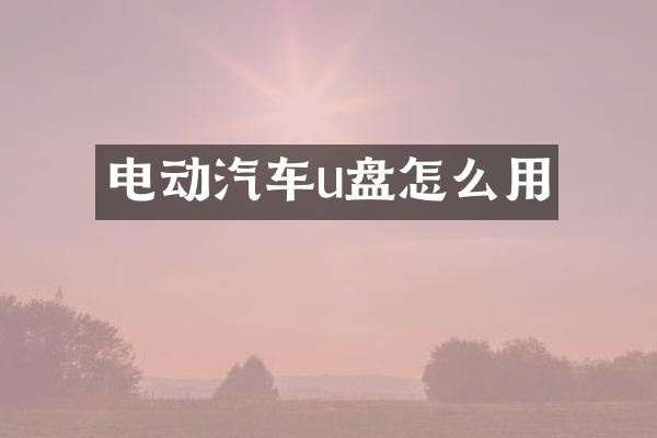 电动汽车u盘怎么用