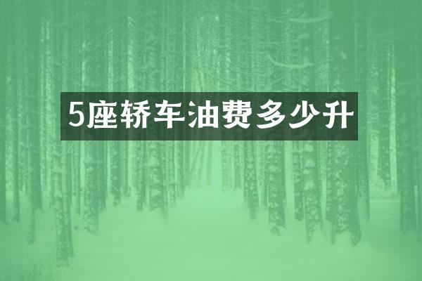 5座轿车油费多少升