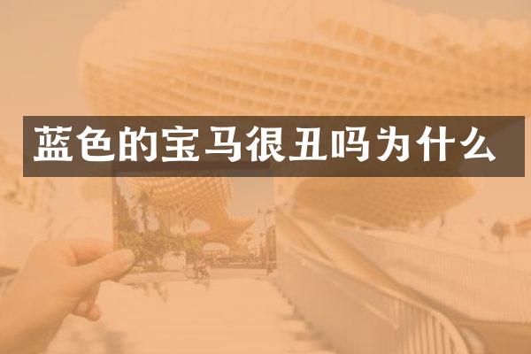 蓝色的宝马很丑吗为什么