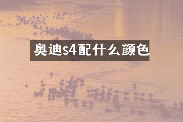 奥迪s4颜色