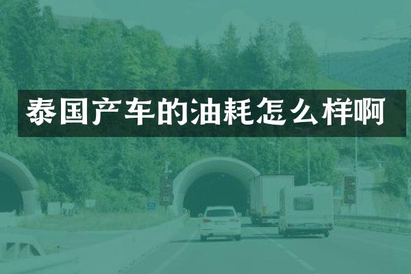 泰国产车的油耗怎么样啊