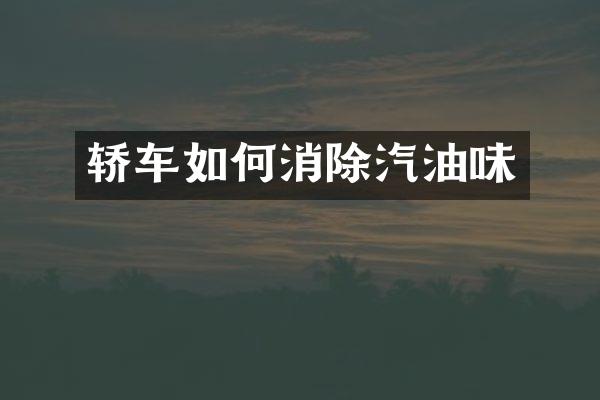 轿车如何消除汽油味
