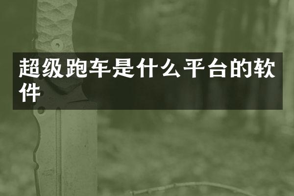 超级跑车是什么平台的软件