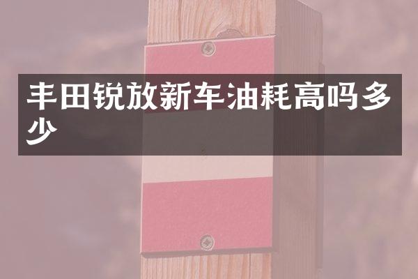 丰田锐放新车油耗高吗多少