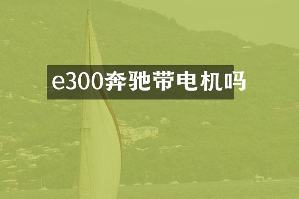 e300奔驰带电机吗