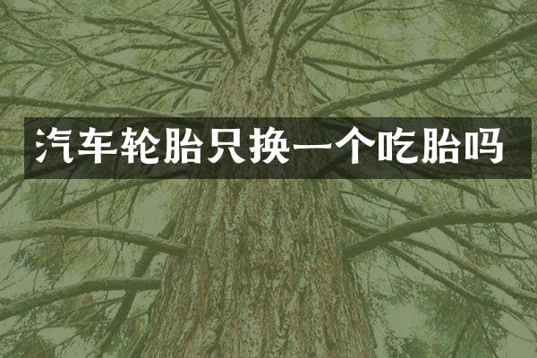 汽车轮胎只换一个吃胎吗