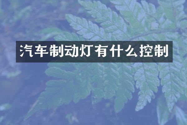 汽车制动灯有什么控制