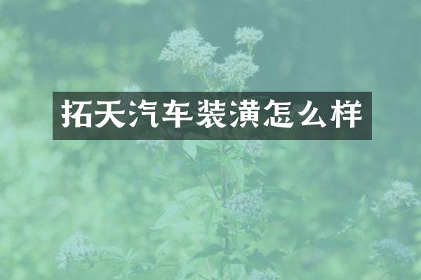 拓天汽车装潢怎么样