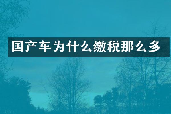 国产车为什么缴税那么多