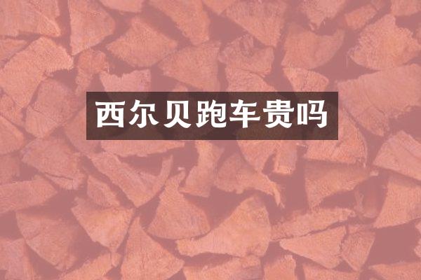 西尔贝跑车贵吗