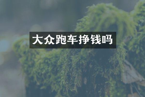 大众跑车挣钱吗