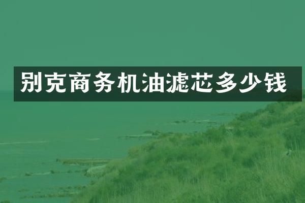 别克商务机油滤芯多少钱