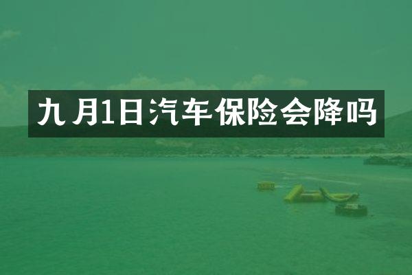 九月1日汽车保险会降吗