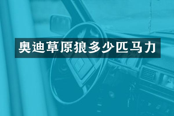 奥迪草原狼多少匹马力