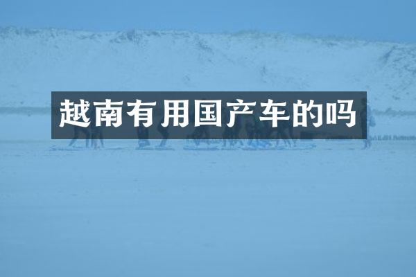 越南有用国产车的吗