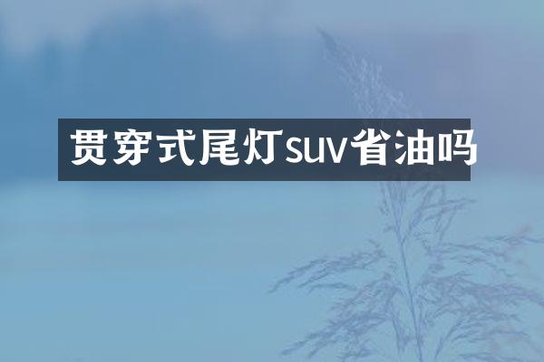 贯穿式尾灯suv省油吗