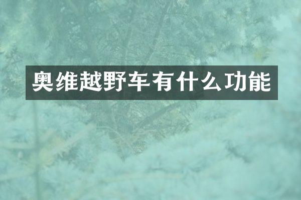 奥维越野车有什么功能