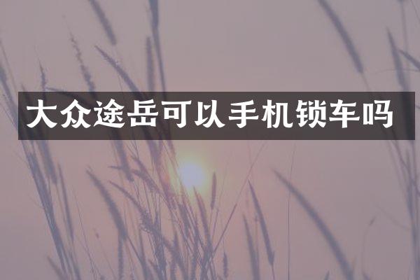 大众途岳可以手机锁车吗