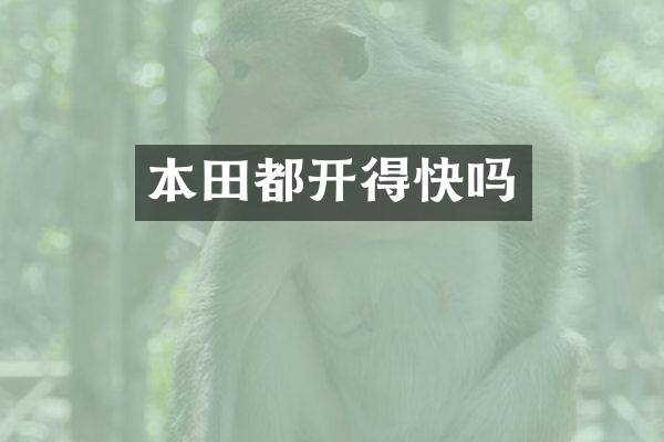 本田都开得快吗