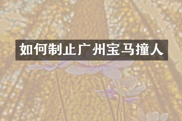 如何制止广州宝马撞人