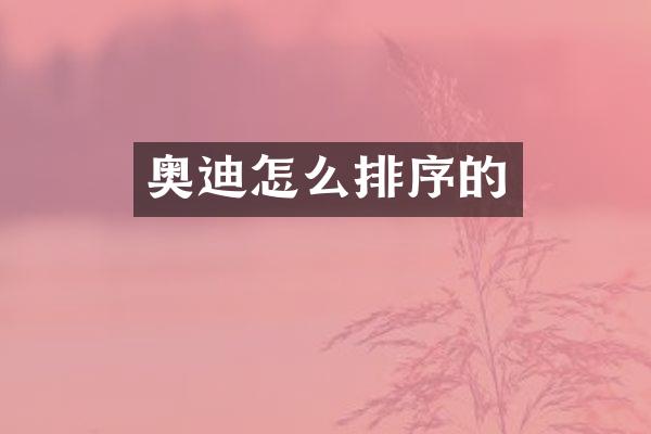 奥迪怎么排序的