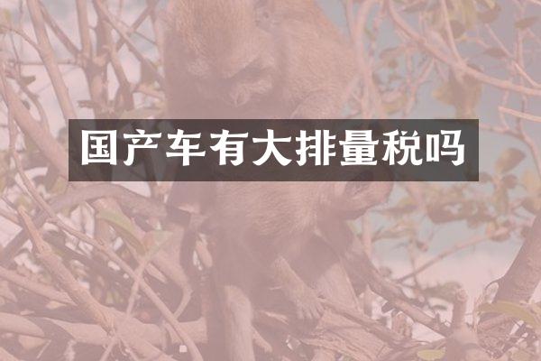 国产车有大排量税吗