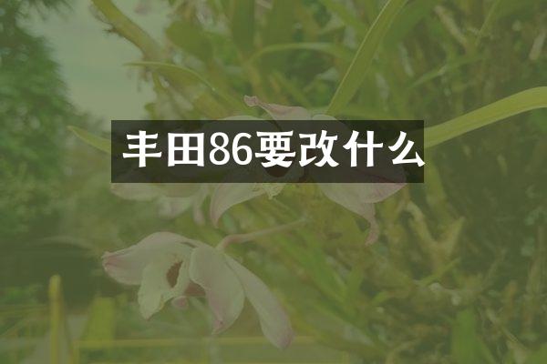 丰田86要改什么