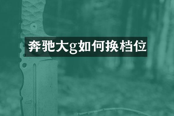 奔驰大g如何换档位