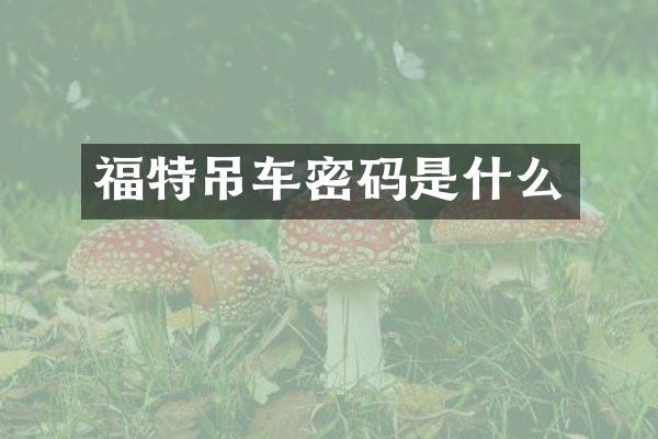 福特吊车密码是什么