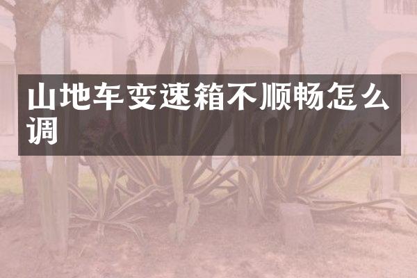 山地车变速箱不顺畅怎么调