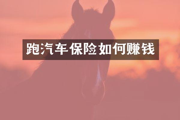 跑汽车保险如何赚钱