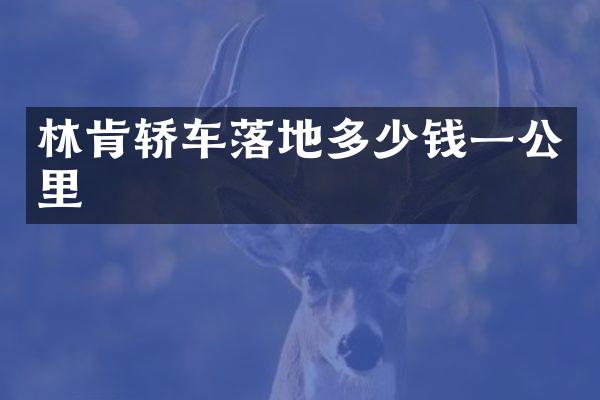 林肯轿车落地多少钱一公里