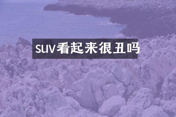 suv看起来很丑吗