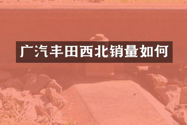 广汽丰田西北销量如何