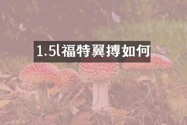 1.5l福特翼搏如何