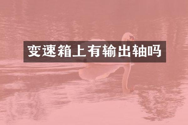 变速箱上有输出轴吗