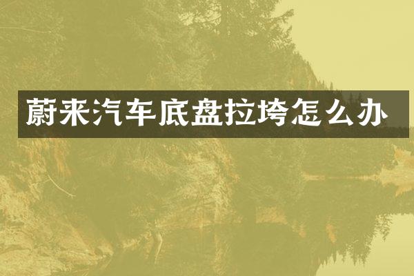 蔚来汽车底盘拉垮怎么办