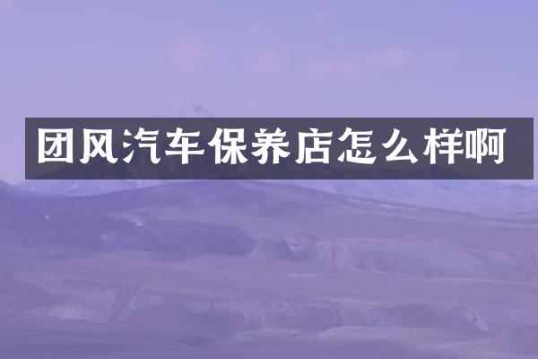 团风汽车保养店怎么样啊